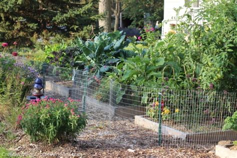 Creative Vegetable Gardeneri See What You Can Do Better Creative