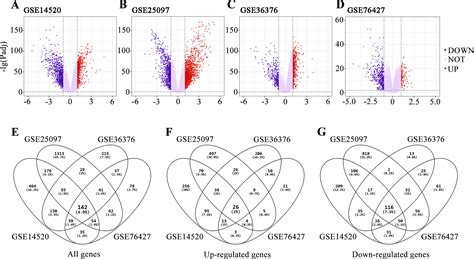 Identification Of A Five Gene Signature In Association With Overall