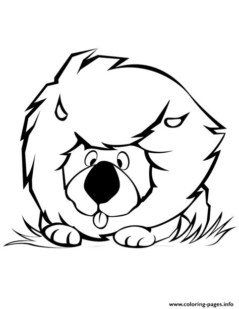 We have plenty of stunning lion coloring pages to. Cute Cartoon Lion Coloring Pages Printable