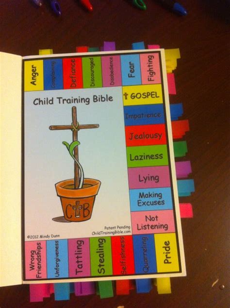 Cats Litterbox Child Training Bible