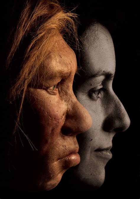 Neanderthal Genes Hold Surprises For Modern Humans Ancient Humans