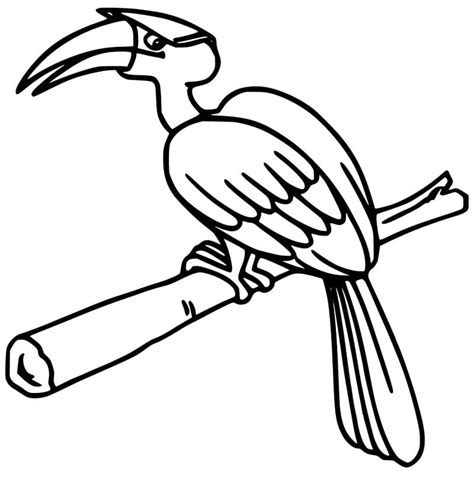 Free Printable Hornbill Coloring Pages Coloring Cool