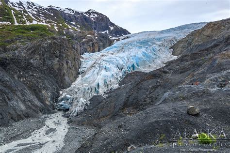 Exit Glacier Alaska Alaska Guide