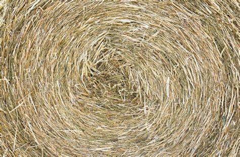 Texture Of Hay Stack Closeup Background Stock Photo Image Of Grass