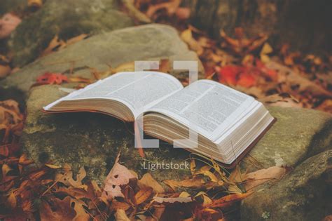 Open Bible On A Rock Surrounded By Fall Leaves — Photo — Lightstock