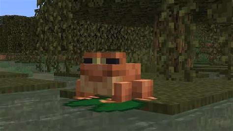 Frogs In Minecraft Where To Find How To Tame What Do They Eat Uses