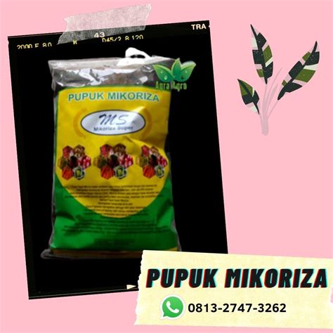 Hub0813 2747 3262 Jual Pupuk Makro Mikro Aquascape Surabaya Agen