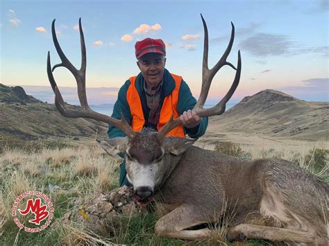 2023 Antelope Island Mule Deer Conservation Permit