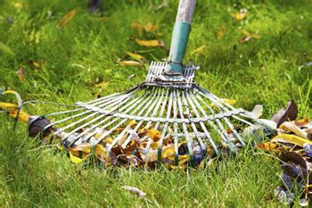 Answer a few questions and kandua will get you quotes from the best rubble removers available. Johannesburg Garden Refuse Removal