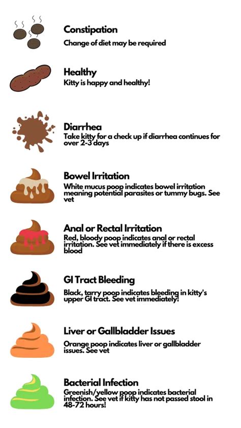Cat Poop Chart What Does This Reveal About Your Cats Well Being