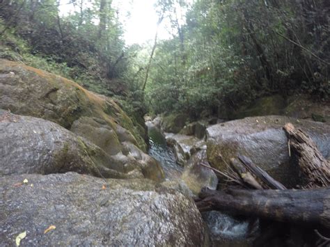 Hiking info, trail maps, and 2 trip reports from gunung rajah (1,683 m) in malaysia. Hiking and Stuff: Gunung Rajah via Chamang Waterfall, Bentong