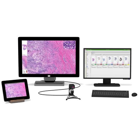 Digital Pathology Getting Closer To The Clinic In The Us