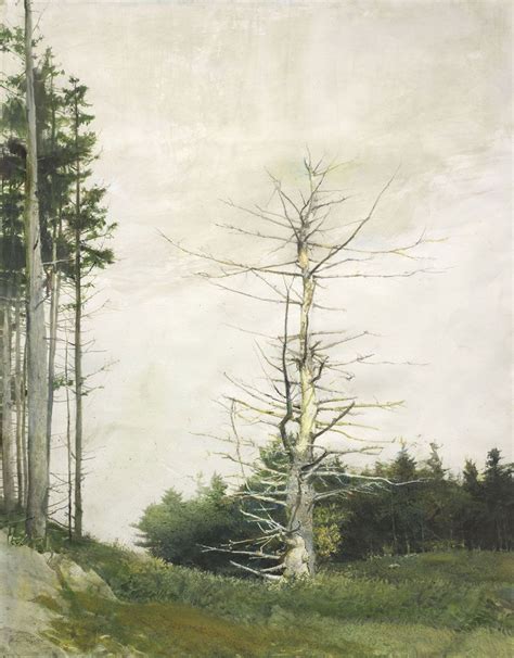 Andrew Wyeth Crow Tree Study For Eagle Eye 2007 Watercolor On Paper