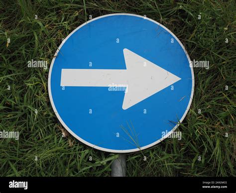 Regulatory Signs Proceed In Direction Indicated By Arrow Traffic Sign
