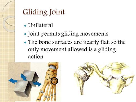 Gliding Joint Examples