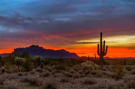 Sunrise From Apache Junction Az Arizona Sunrise Desert Painting