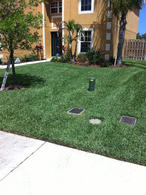 Zoysiagrass, often spelled zoysia grass, originated in japan and was brought to the u.s. Nitrogen Fertilizer For Zoysia | Cromalinsupport