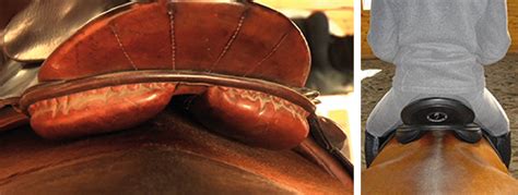 Jochen Schleese Saddle Fitting Tip Do Saddle Pads Improve Saddle Fit