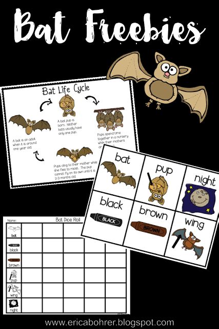 In A Week Or So We Will Be Starting Our Bat Unit In First Grade I