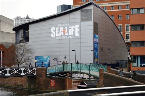 Review And Video Of The National Sea Life Centre In Birmingham South