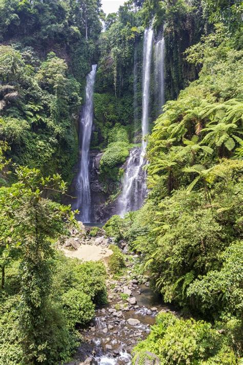 Sekumpul Waterfalls Surrounded By Tropical Forest In Bali Indonesia