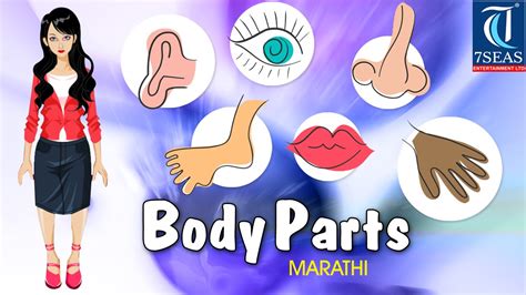 Small projection of a woman's or girl's breast. Learn Kids Body Parts Animated Learning in Marathi | Learn ...