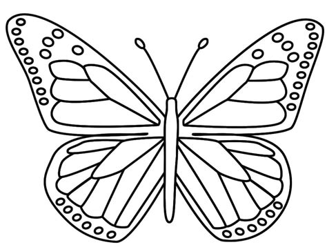 Farfalla Da Colorare Farfalla Stilizzata Da Colorare Tutto Disegni