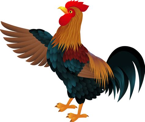 Vector Graphics Clip Art Image Rooster Rooster Png Transparent Png