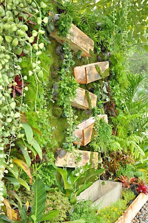 Anne siegel met him in san francisco for a german gardening and landart magazine. Tropische Pflanzen in vertikaler Garten | Stock-Foto ...