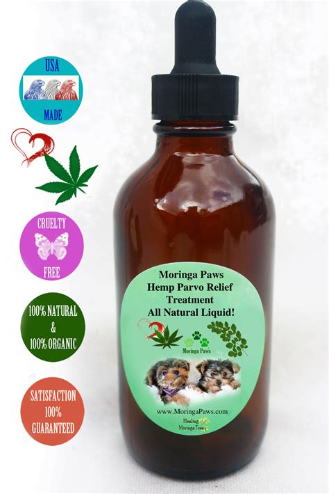 Moringa Parvo Dog Treatment 100 Natural Herbal Ingredients Parvo