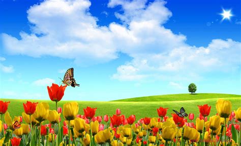 Spring Colors Wallpapers Top Free Spring Colors Backgrounds