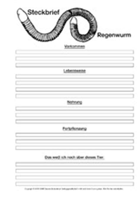 Steckbrief noun, masculine idiom.— profile n. Regenwurm in der Grundschule - Grundschulmaterial.de
