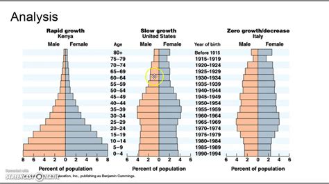 Population Pyramids And Demographic Transition Youtube