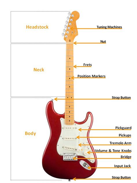 Knowing the actual parts of the guitar and their definitions is essential to expanding your knowledge of this instrument. Electric Guitar Buyers Guide | AmericanMusical.com