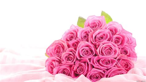 Rose Flower Wallpapers Top Free Rose Flower Backgrounds Wallpaperaccess