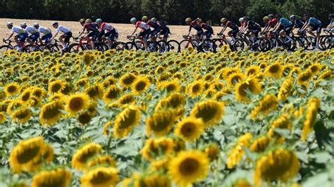 Tour De France Live Stage Updates Results Live Bbc Sport