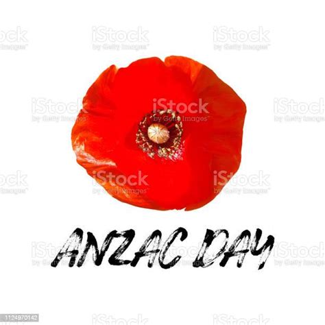 Anzac Day Vector Card We Will Remember Them Stock Illustration