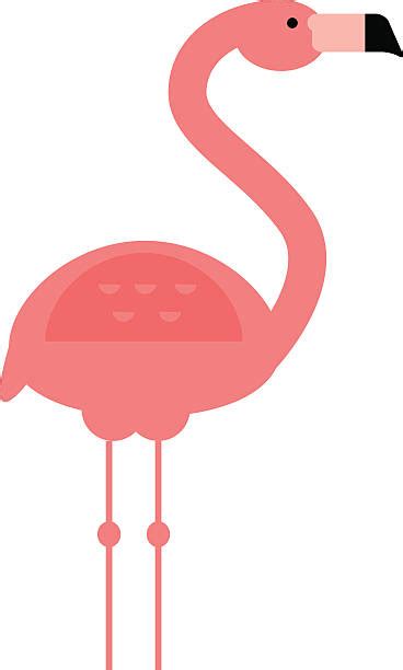 Flamingo Cartoon Animal Animal Leg Illustrations Royalty