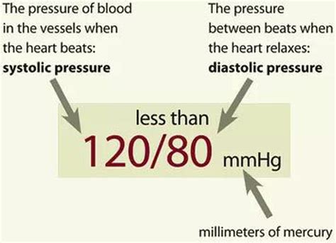 Normal Blood Pressure 12080 Mmhg Medizzy