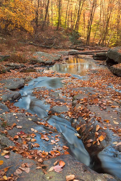 Free Photo Autumn Boomerang Stream America Scenery State Free