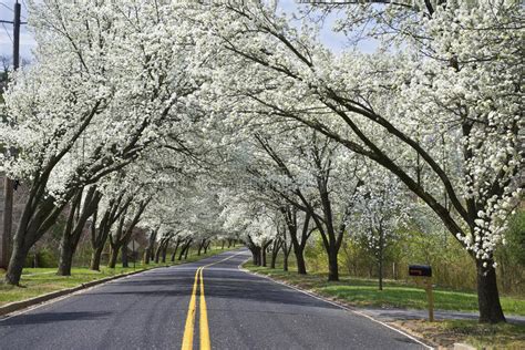 The 7 Most Stunning Scenic Drives In The Us Inspired By This