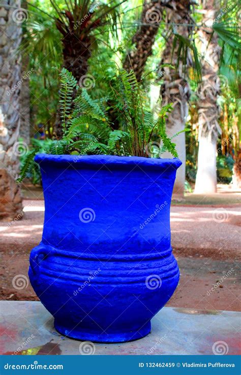 Majorelle Garden Ornamental Blue Flower Pot With A Fern Editorial