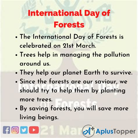 10 Lines On International Day Of Forests For Students And Children In