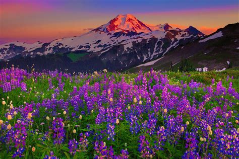 Горы Весной Красивые Фото Telegraph