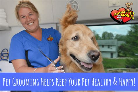 Pet Grooming Helps Keep Your Pet Healthy And Happy Aussie Pet Mobile