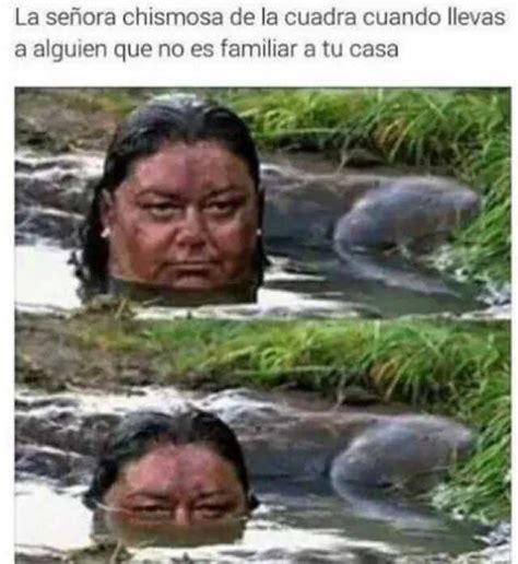 La Señora Chismosa De La Cuadra Cuando Llevas A Alguien Que No Es