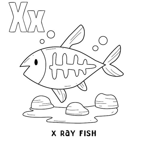 Premium Vector Alphabet Animal X Ray Fish For Coloring With Word Hand