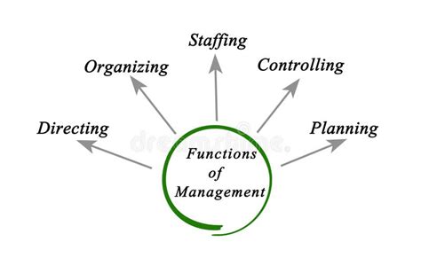 Functions Of Management Stock Illustration Illustration Of Directing