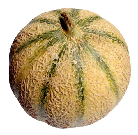 Melon PNG Image PurePNG Free Transparent CC PNG Image Library