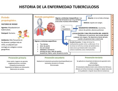 Pato Tuberculosis Historia De La Enfermedad Tuberculosis Periodo